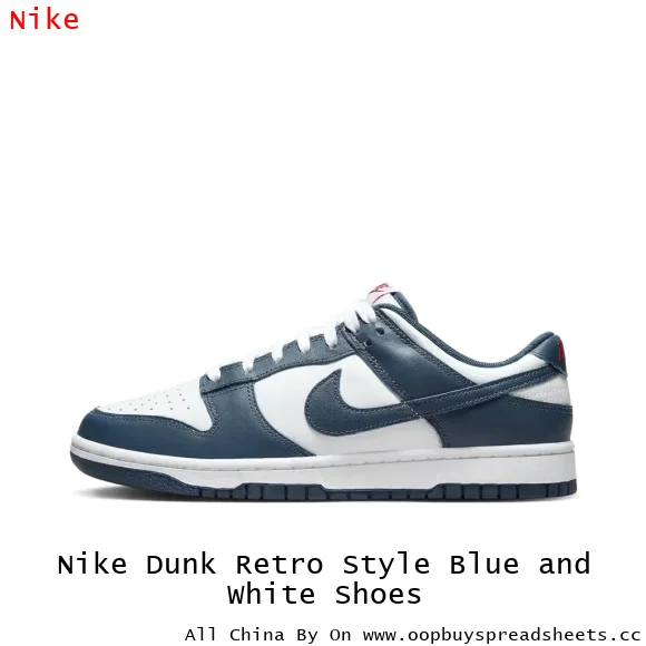 Nike Dunk Retro Style Blue and White Shoes