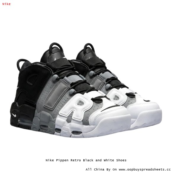 Nike Pippen Retro Black and White Shoes