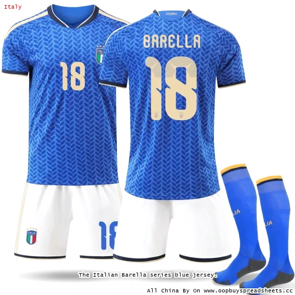 The Italian Barella series blue jersey.