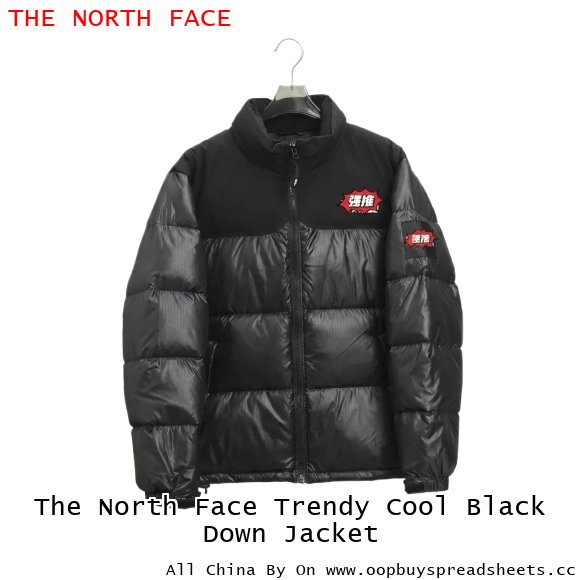 The North Face Trendy Cool Black Down Jacket
