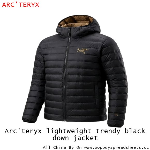 Arc'teryx lightweight trendy black down jacket