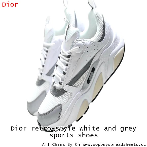 Dior retro-style white and grey sports shoes