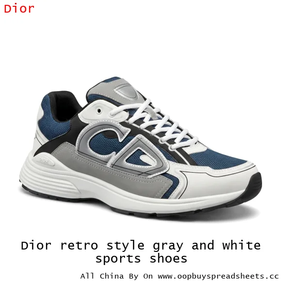 Dior retro style gray and white sports shoes