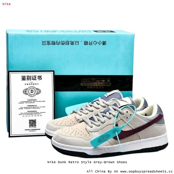 Nike Dunk Retro Style Grey-Brown Shoes