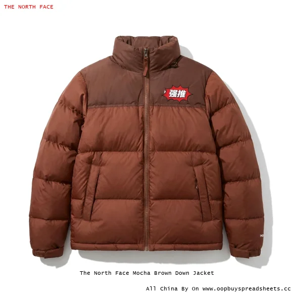 The North Face Mocha Brown Down Jacket
