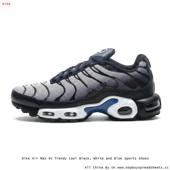 Nike Air Max 95 Trendy Cool Black, White and Blue Sports Shoes