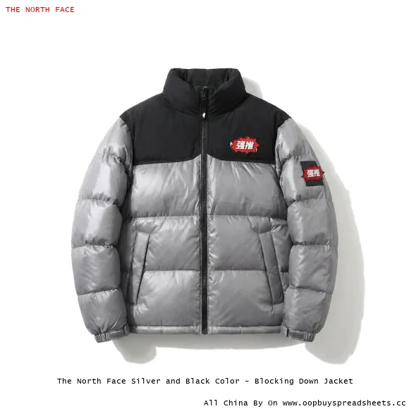 The North Face Silver and Black Color - Blocking Down Jacket