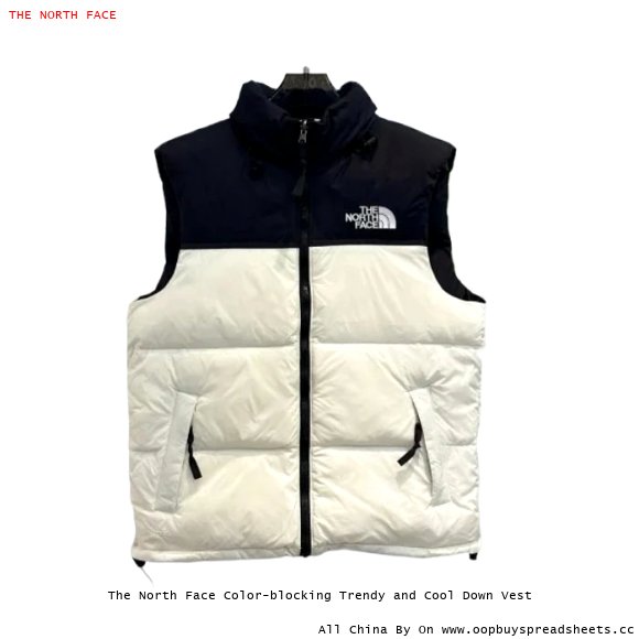 The North Face Color-blocking Trendy and Cool Down Vest
