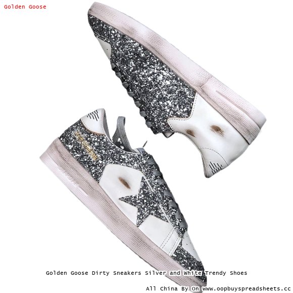 Golden Goose Dirty Sneakers Silver and White Trendy Shoes