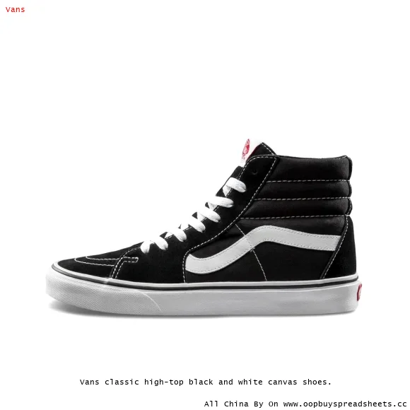 Vans classic high-top black and white canvas shoes.
