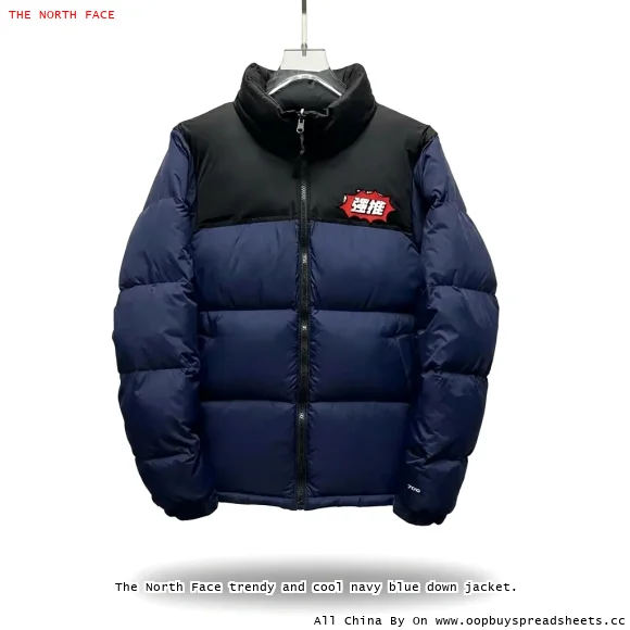 The North Face trendy and cool navy blue down jacket.