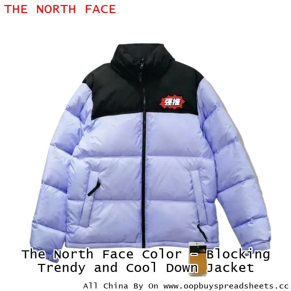The North Face Color - Blocking Trendy and Cool Down Jacket