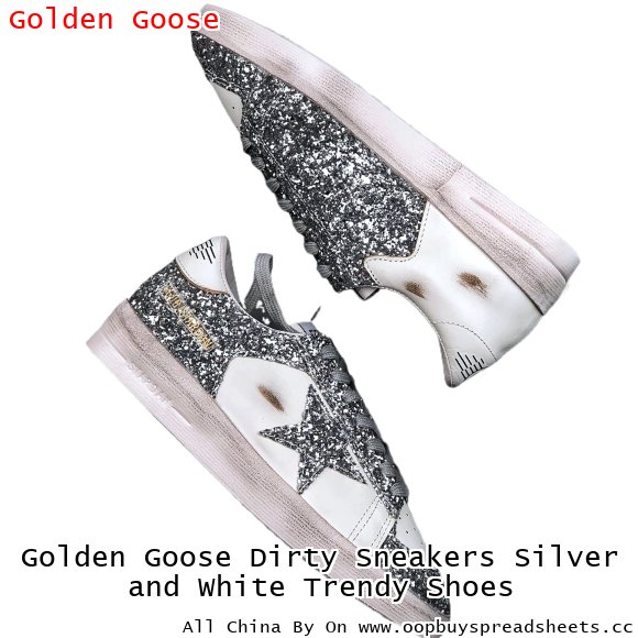 Golden Goose Dirty Sneakers Silver and White Trendy Shoes