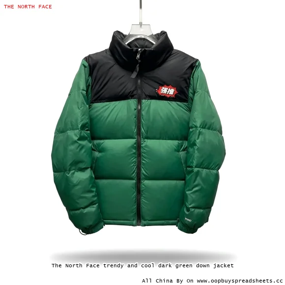 The North Face trendy and cool dark green down jacket