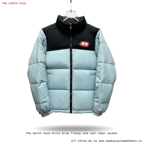 The North Face Misty Blue Trendy and Cool Down Jacket
