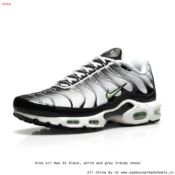 Nike Air Max 95 black, white and grey trendy shoes