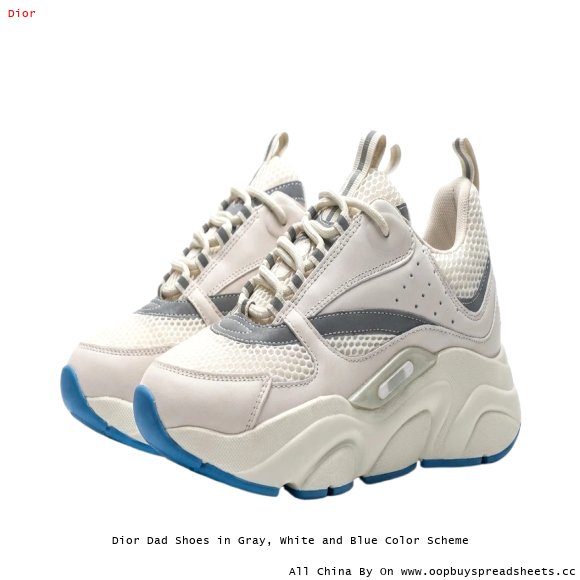 Dior Dad Shoes in Gray, White and Blue Color Scheme