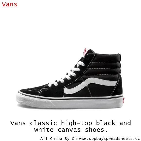 Vans classic high-top black and white canvas shoes.