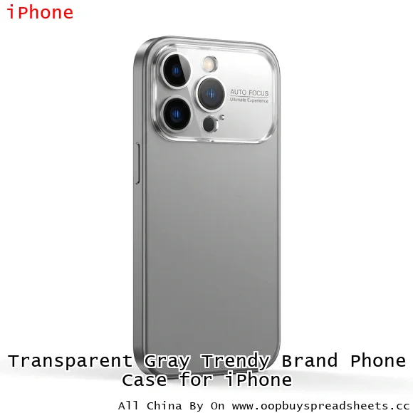 Transparent Gray Trendy Brand Phone Case for iPhone