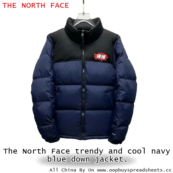 The North Face trendy and cool navy blue down jacket.