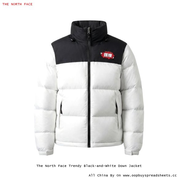 The North Face Trendy Black-and-White Down Jacket