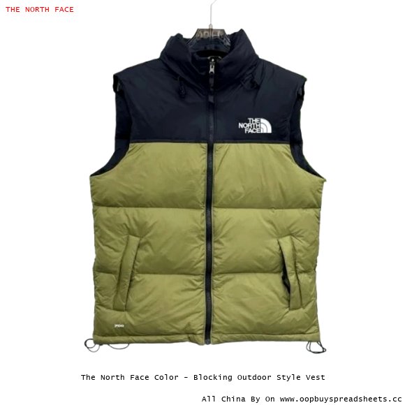 The North Face Color - Blocking Outdoor Style Vest