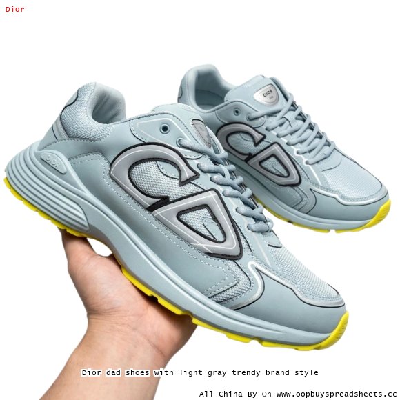 Dior dad shoes with light gray trendy brand style