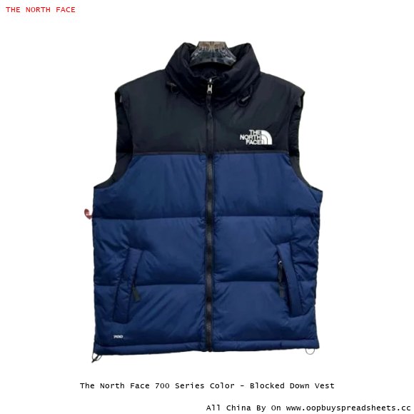 The North Face 700 Series Color - Blocked Down Vest