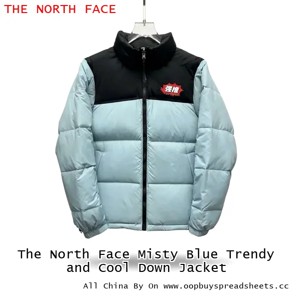 The North Face Misty Blue Trendy and Cool Down Jacket