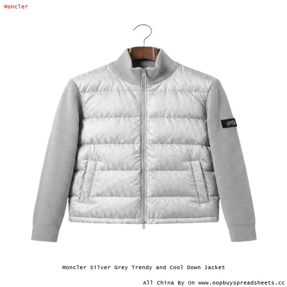 Moncler Silver Grey Trendy and Cool Down Jacket