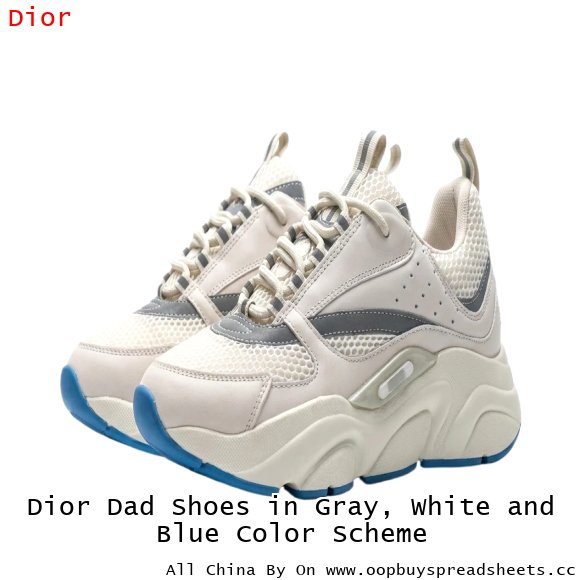 Dior Dad Shoes in Gray, White and Blue Color Scheme
