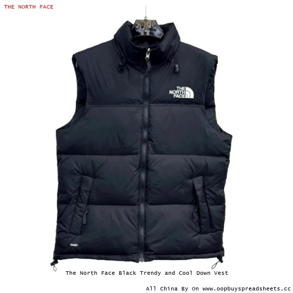 The North Face Black Trendy and Cool Down Vest