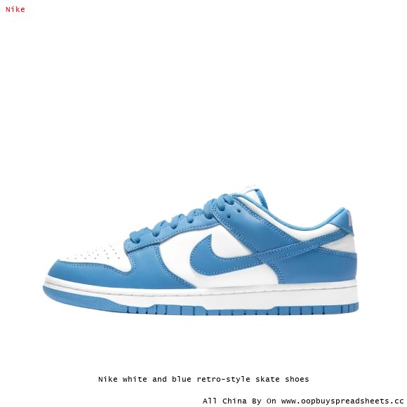 Nike white and blue retro-style skate shoes