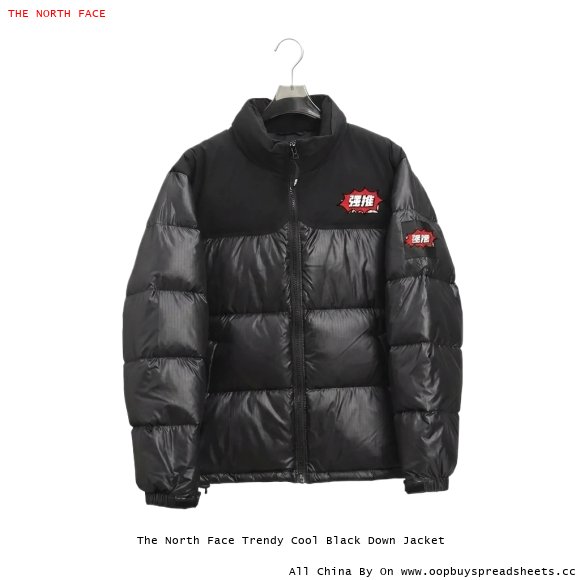 The North Face Trendy Cool Black Down Jacket
