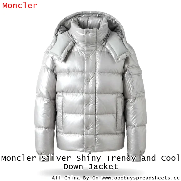 Moncler Silver Shiny Trendy and Cool Down Jacket