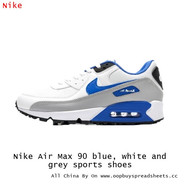 Nike Air Max 90 blue, white and grey sports shoes