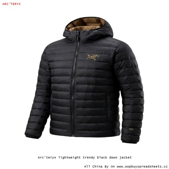 Arc'teryx lightweight trendy black down jacket