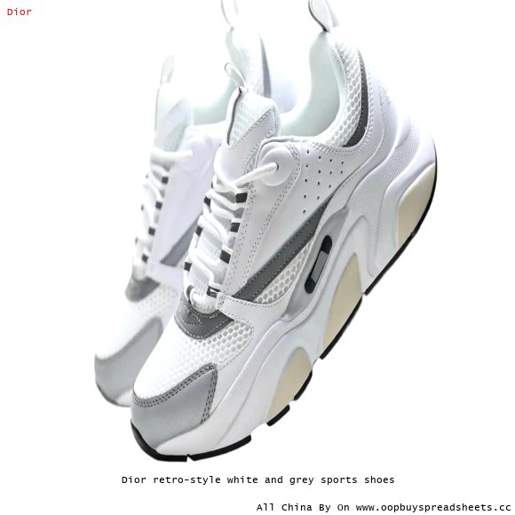 Dior retro-style white and grey sports shoes
