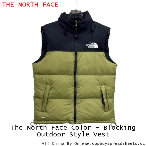 The North Face Color - Blocking Outdoor Style Vest