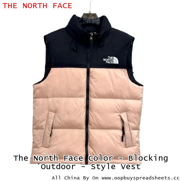 The North Face Color - Blocking Outdoor - Style Vest