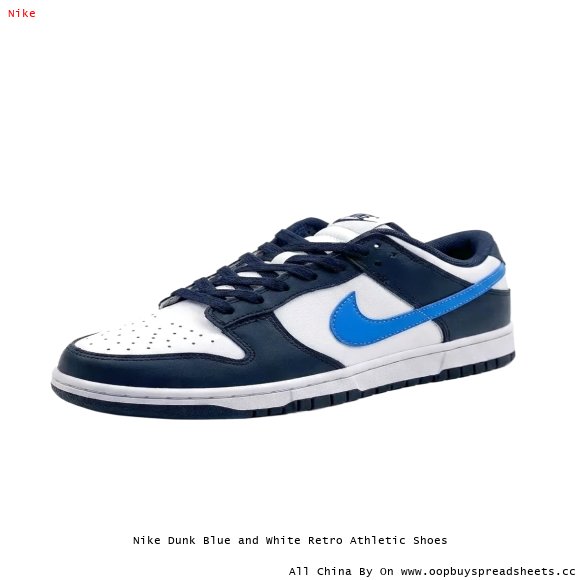 Nike Dunk Blue and White Retro Athletic Shoes