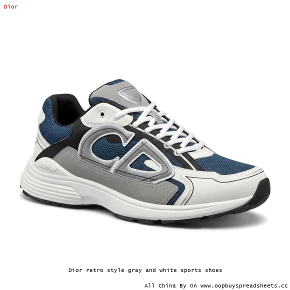 Dior retro style gray and white sports shoes