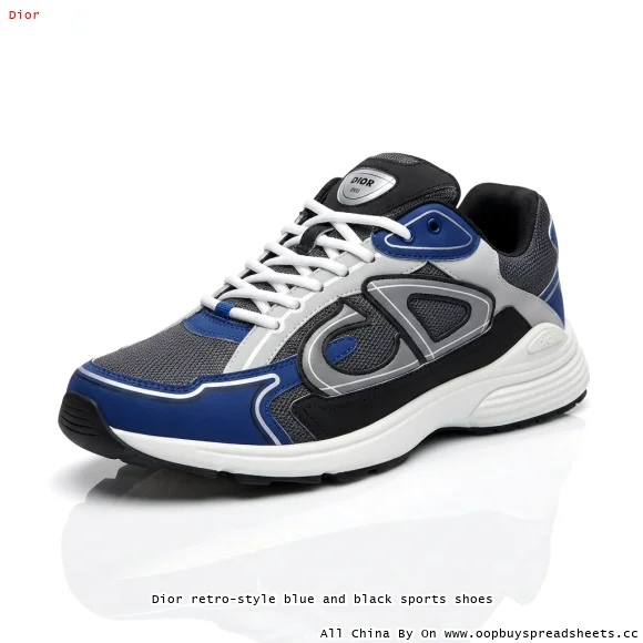Dior retro-style blue and black sports shoes