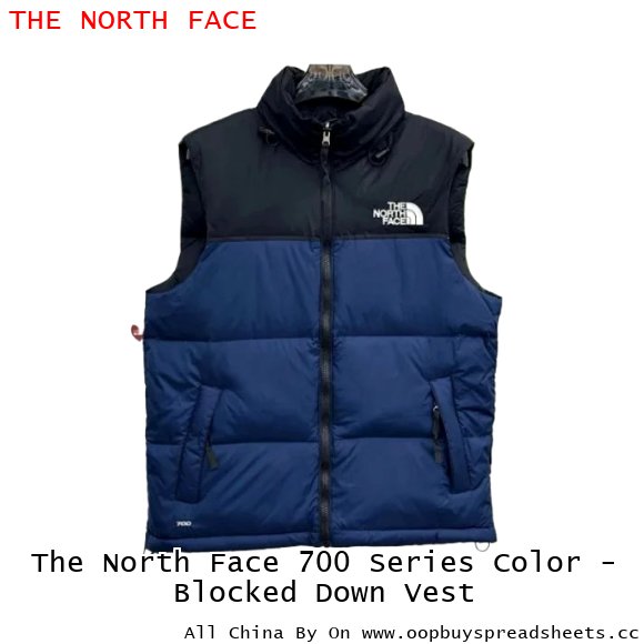 The North Face 700 Series Color - Blocked Down Vest