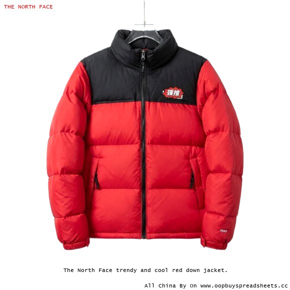 The North Face trendy and cool red down jacket.