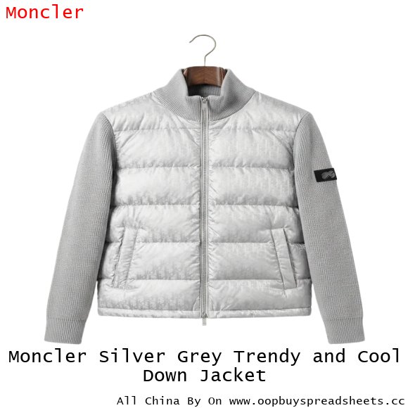 Moncler Silver Grey Trendy and Cool Down Jacket