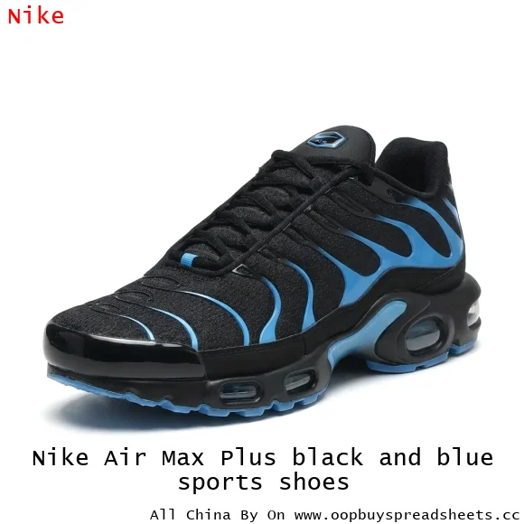 Nike Air Max Plus black and blue sports shoes