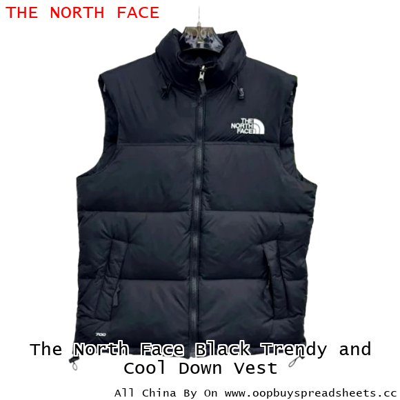 The North Face Black Trendy and Cool Down Vest