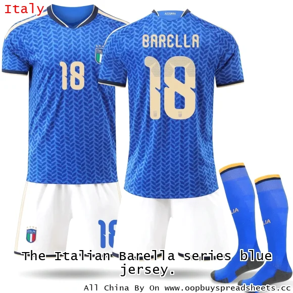 The Italian Barella series blue jersey.