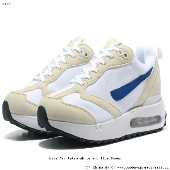 Nike Air Retro White and Blue Shoes